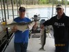 (04/19/2017) - Nice Striped Bass